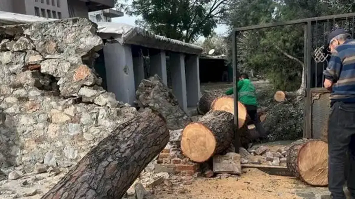 Muğla Milas'ta şiddetli fırtına sonrası anında müdahale