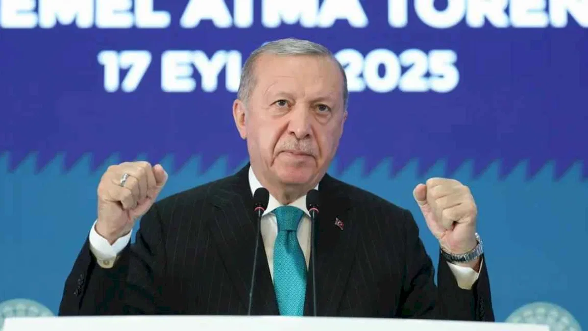Cumhurbaşkanı Erdoğan: Türkiye, hadsizlikler karşısında asla susmaz!