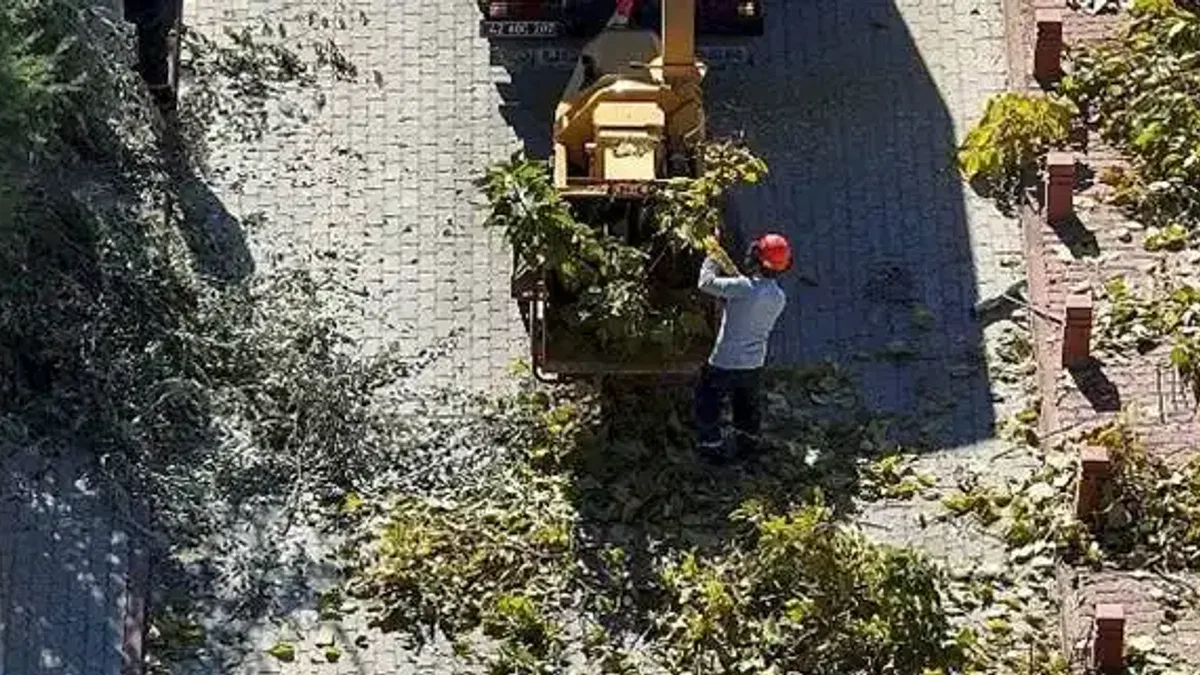 Selçuklu'da Ağaç Budama Çalışmaları Devam Ediyor