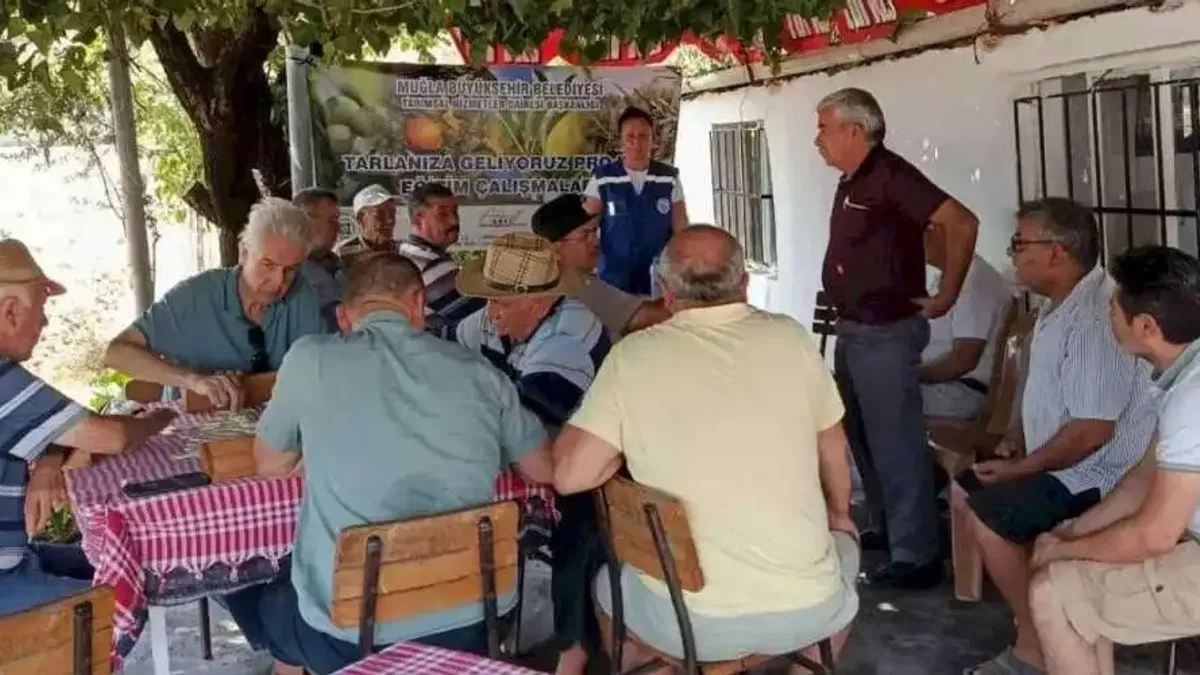 Muğla Büyükşehir’den zeytin üreticisine eğitim desteği