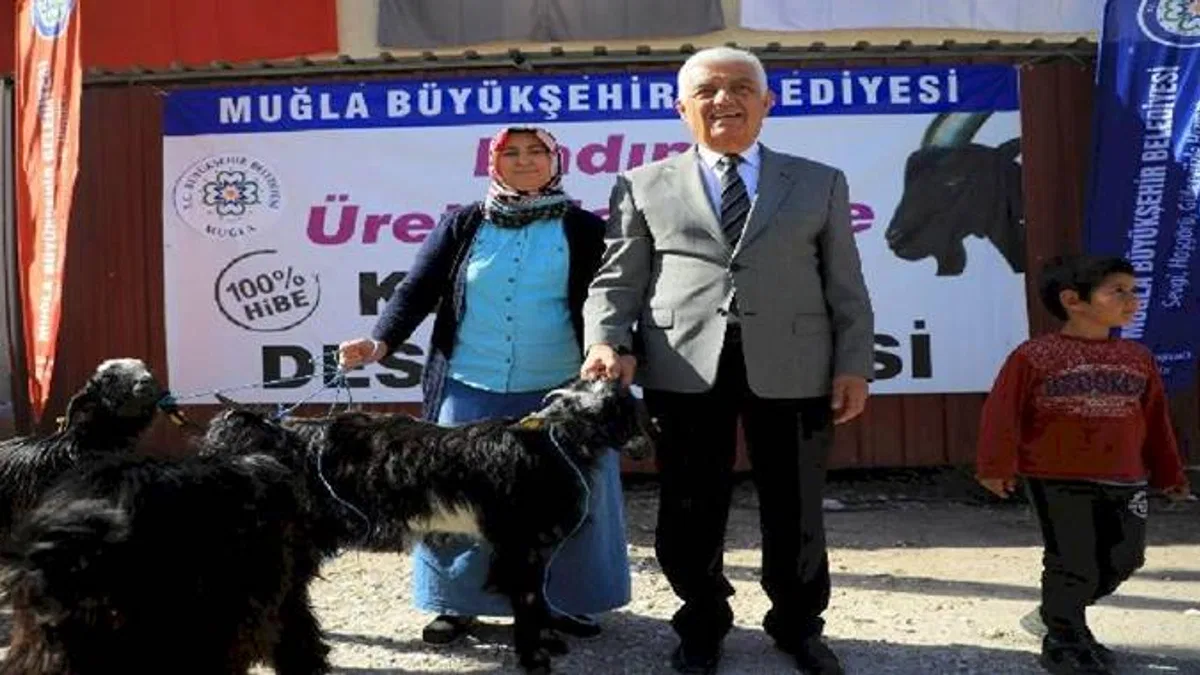 Muğla 'Kıl Keçisi' desteğini sürdürüyor