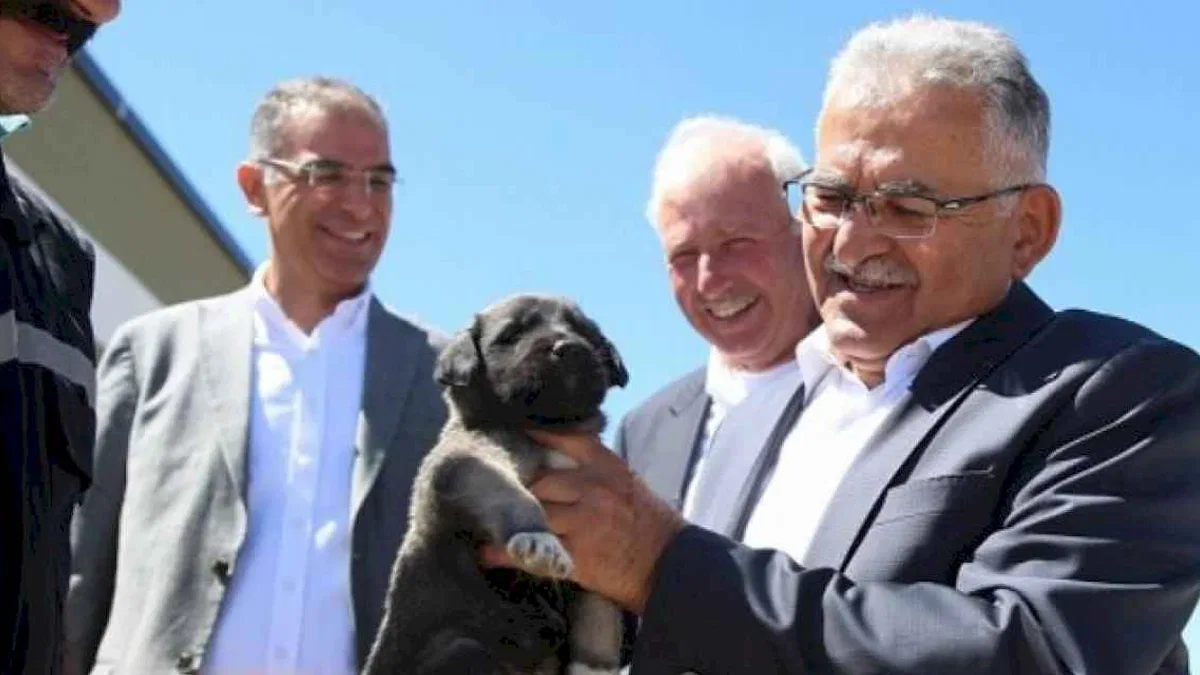 Başkan Büyükkılıç, dilsiz dostlara sahip çıkıyor