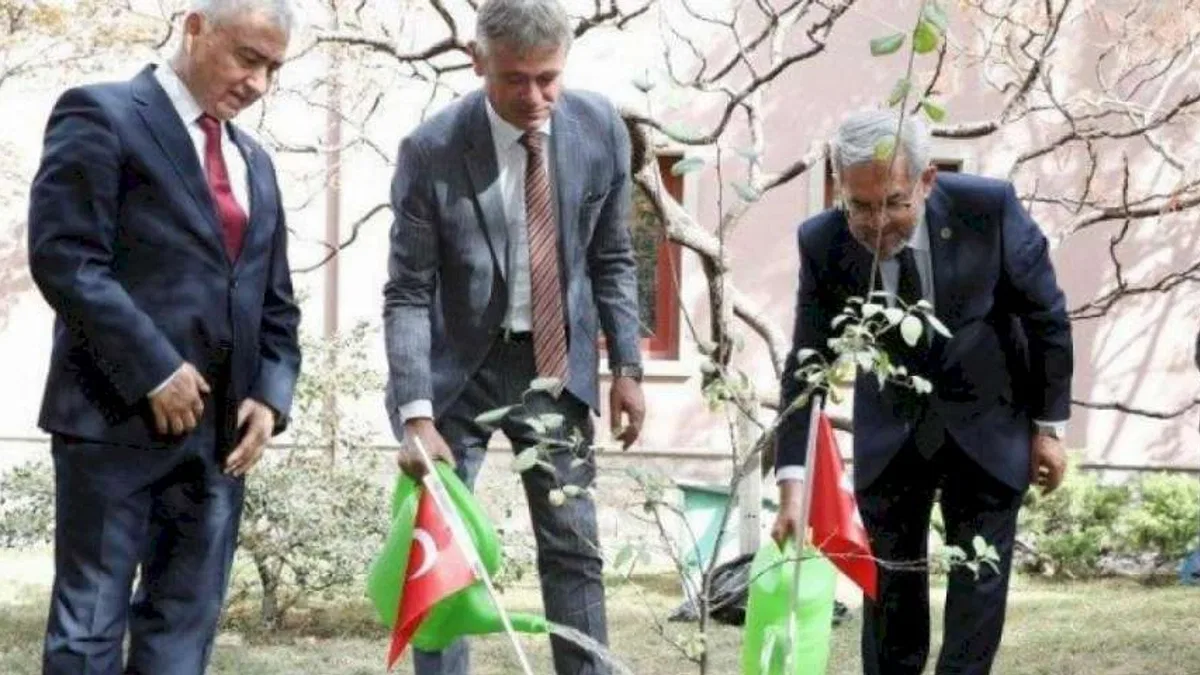 İsviçre'nin fidanı Ankara'da yeşerecek