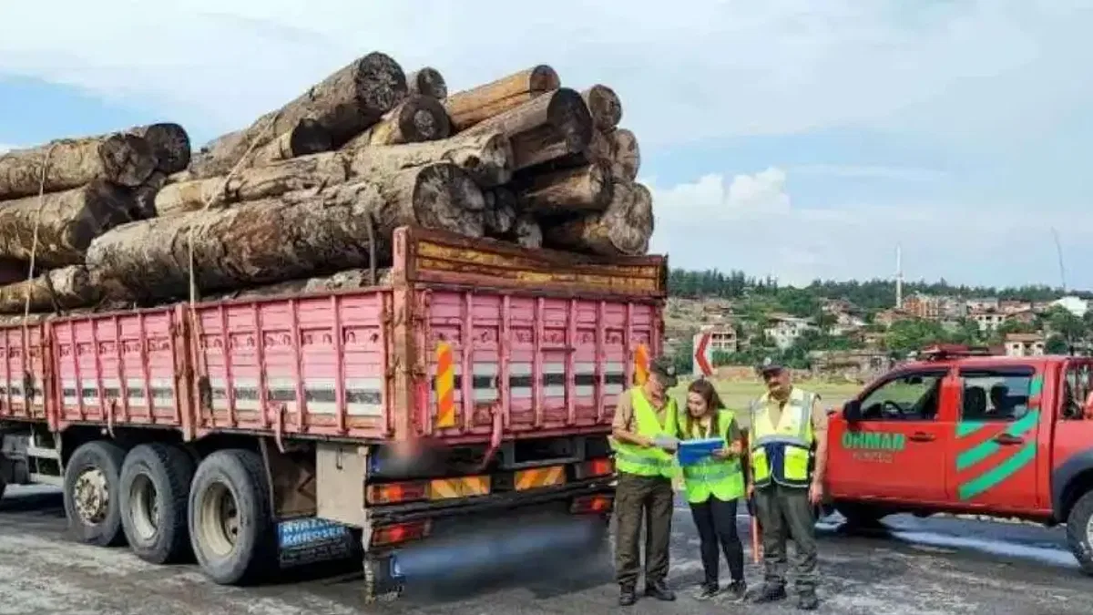 Bursa İnegöl'de orman ürünü taşıyan kamyonlara denetim
