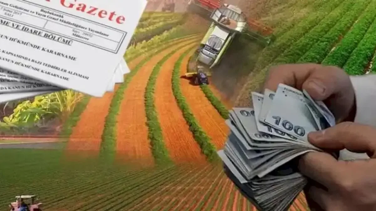 Hazine destekli kredilerde çiftçi ve esnafa kredi şartları yenilendi