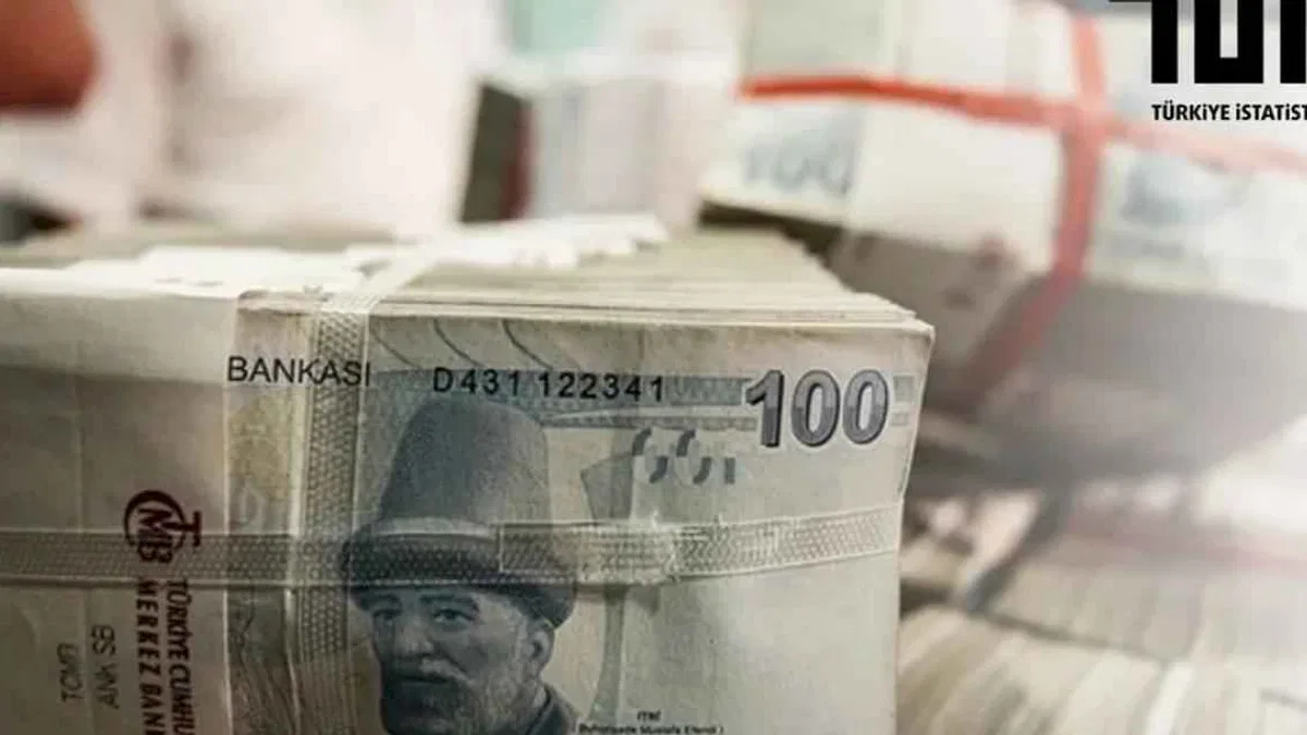 TÜİK, 2023 yılı devlet hesapları verisini açıkladı!