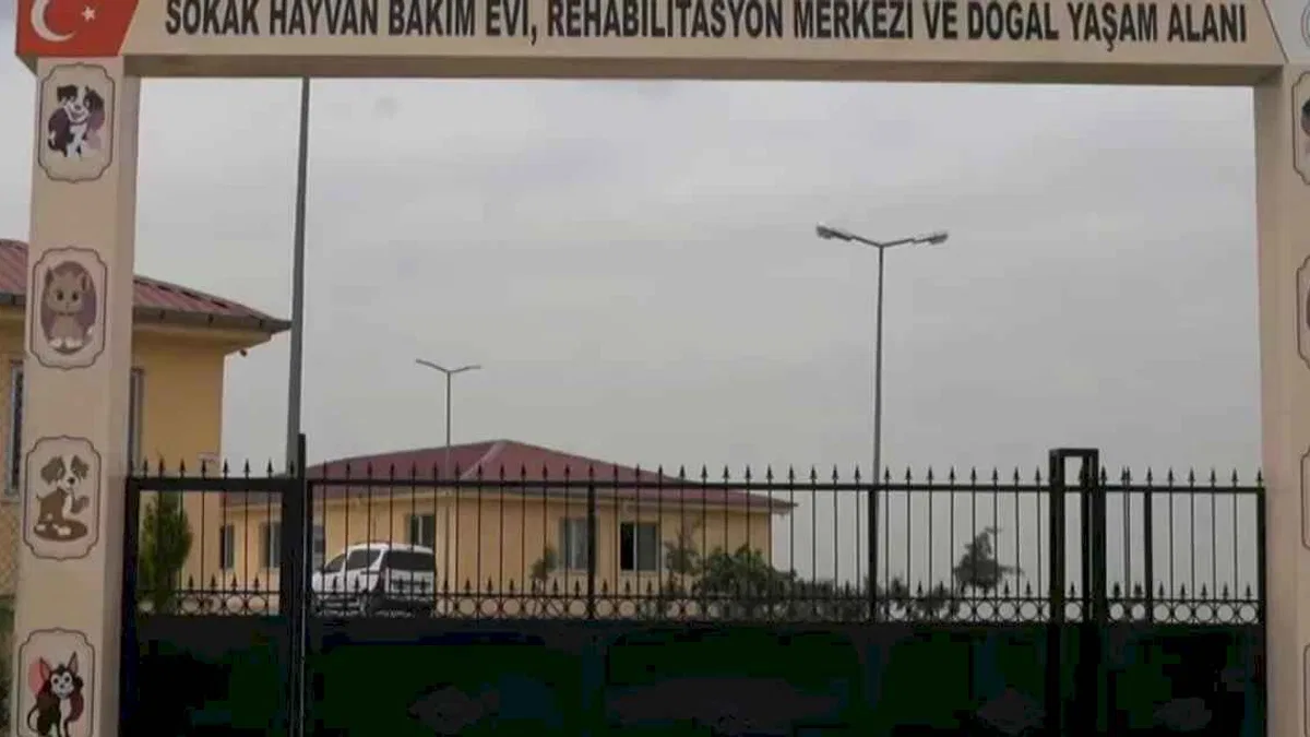 Siirt'te sokak hayvanları için dev proje