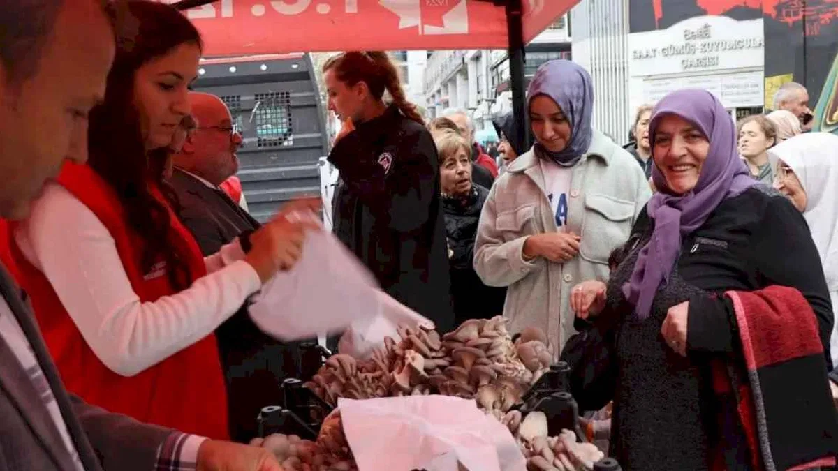 İzmit'te hasatın bereketi sürüyor... 850 kilo istiridye mantarı dağıtıldı
