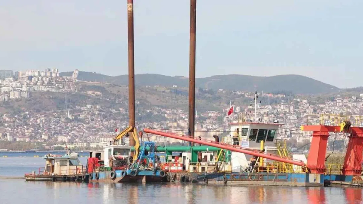 İzmit Körfezi yeniden nefes aldı... Temizlenen körfezde artık yunuslar dans ediyor