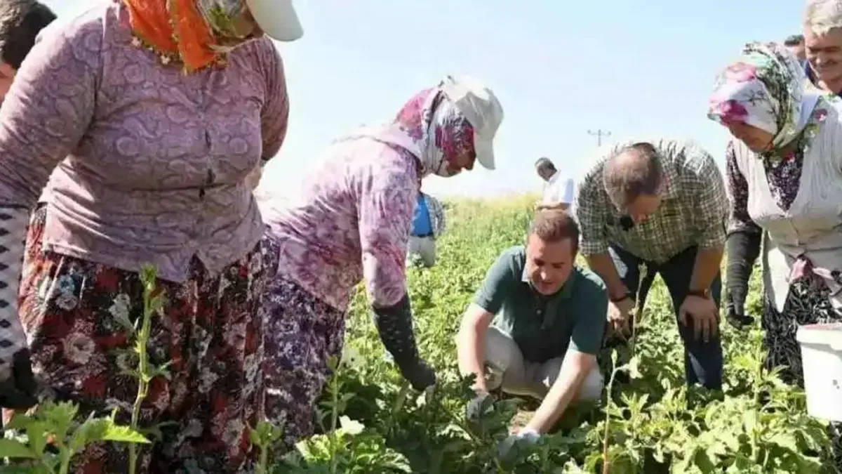 Balıkesir’de planlı kalkınma dönemi başladı