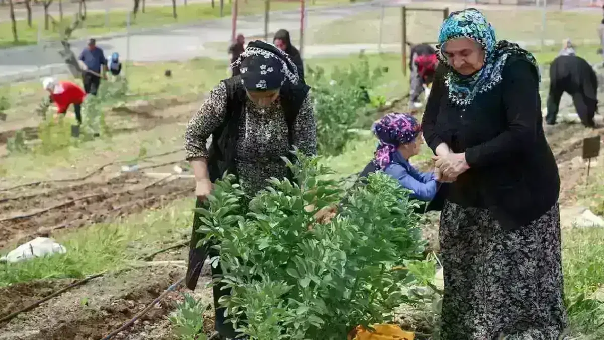 İzmir Mahalle Bostanları büyüyor