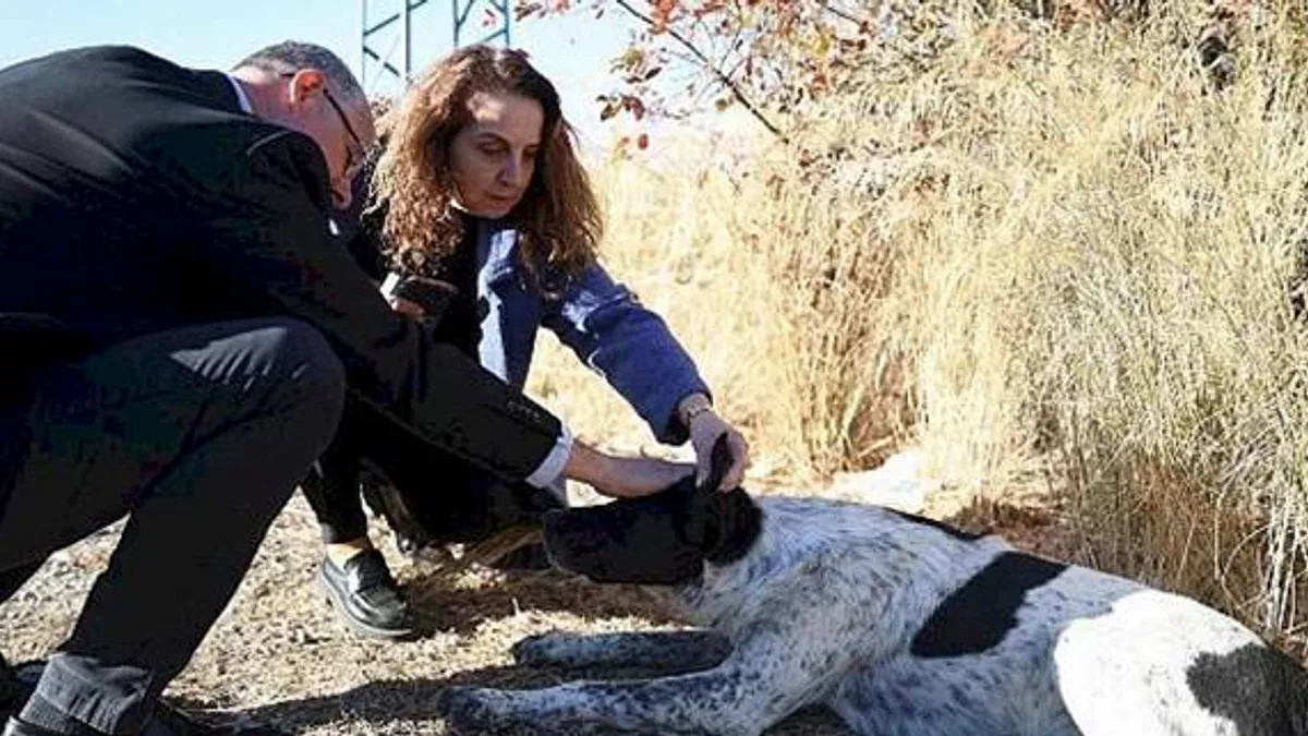Can dostlar için Mudanya'da güç birliği