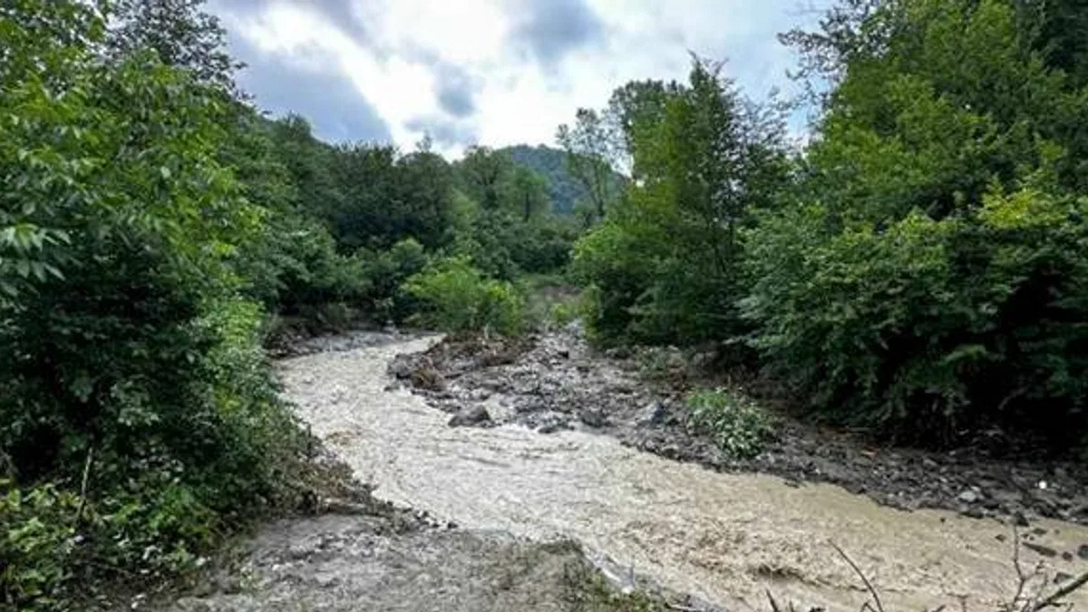 Ordu'da üç ilçeyi sel vurdu: 1 ölü