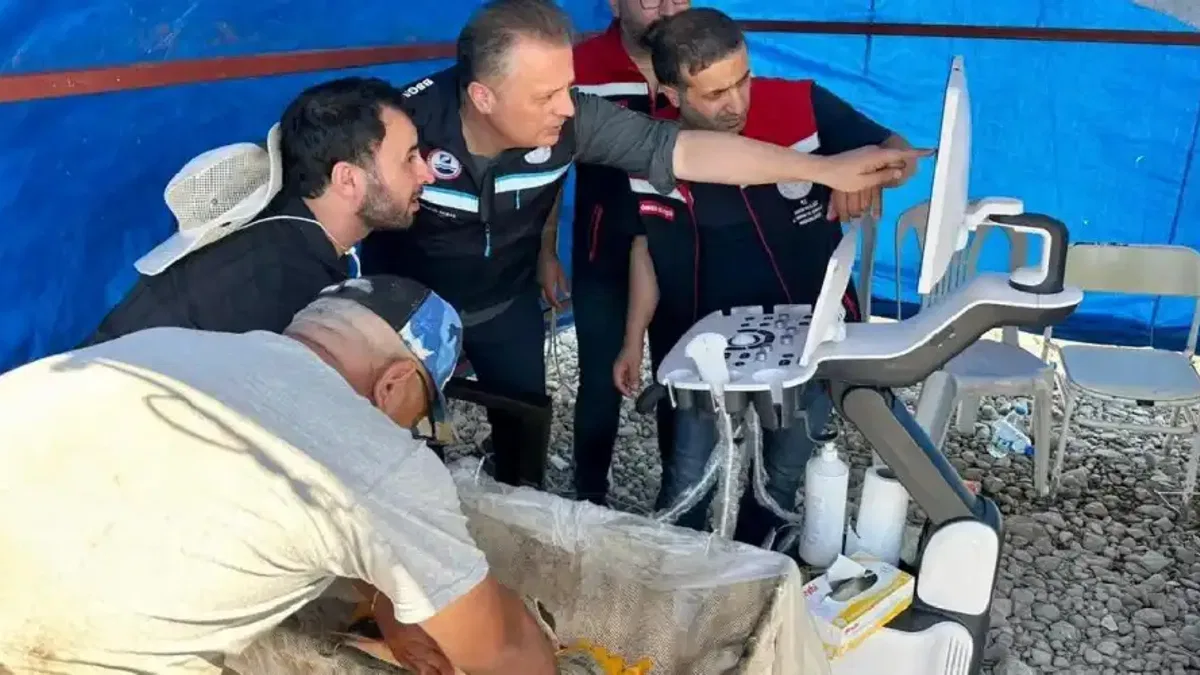 Mersin balıklarında erken cinsiyet tespiti için eğitim