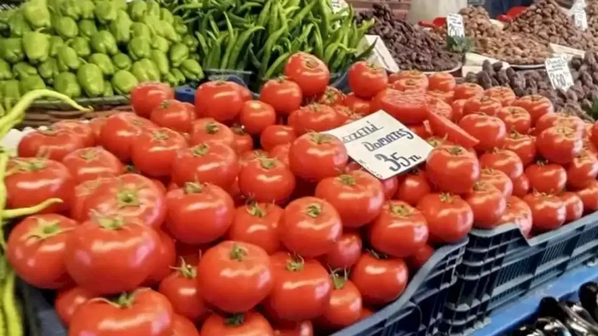 Pazar fiyatlarındaki düşüş, domatese de yansıdı