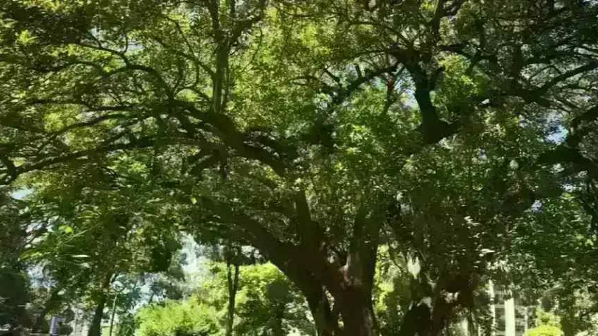 İzmir'de Kültürpark’ın köklerine yolculuk