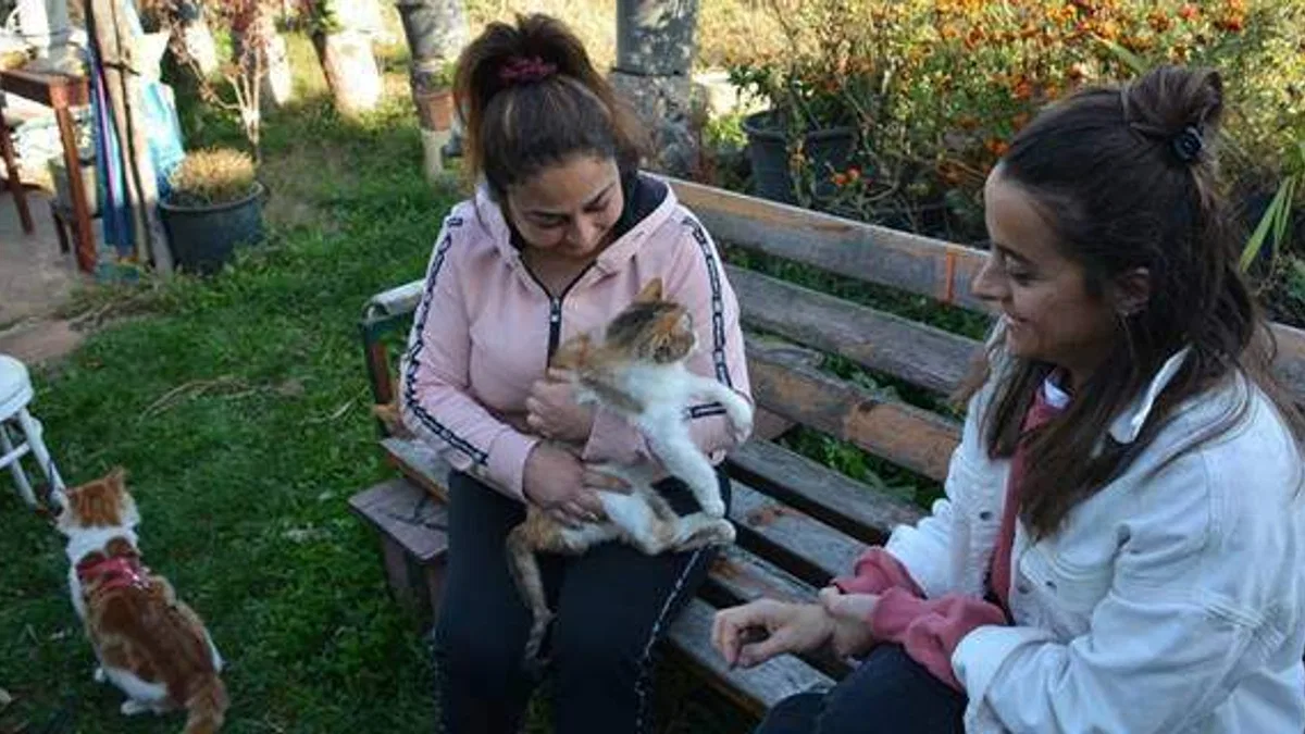 Bolulu hayvansever işçi, yaralı kedileri tedavi ettirip sahipleniyor