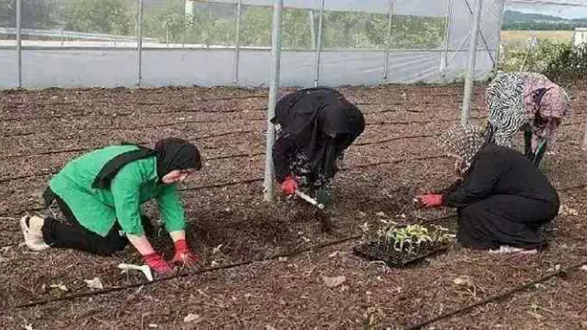 Kocaeli Büyükşehir'den kadın girişimcilere tarımsal destek