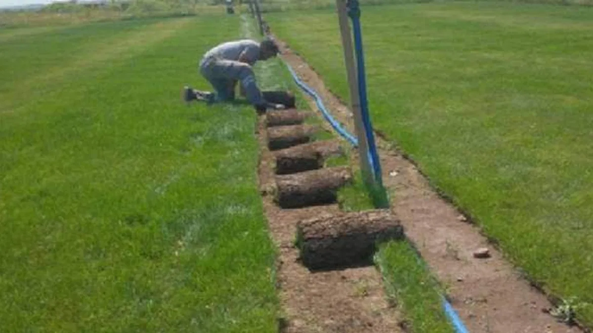 Belediye çim üretiyor, vatandaş kazanıyor