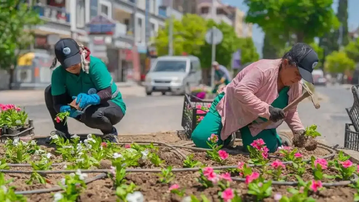 Daha yeşil Milas için yoğun çalışma