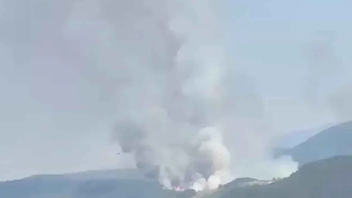 Balıkesir Sındırgı'da orman dışı alanda yangın!