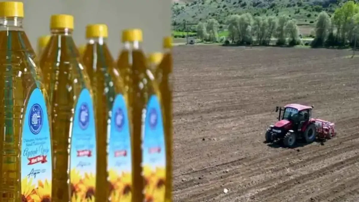 İhtiyaç sahiplerine ücretsiz ayçiçek yağı