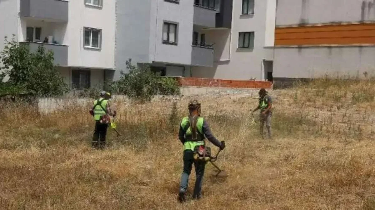 Çayırova’da yabani otlar temizleniyor