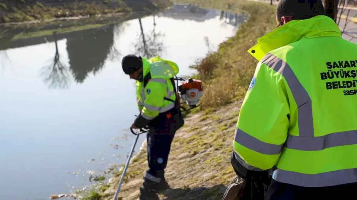 Sakarya'da Çark Deresi’nde bahar temizliği başladı