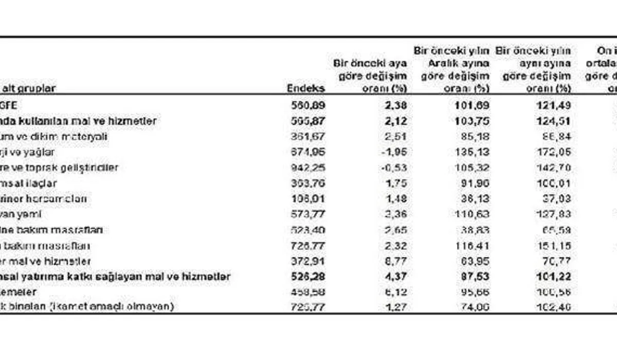 Tarımsal girdi fiyat endeksi (Tarım-GFE) yıllık %121,49, aylık %2,38 arttı