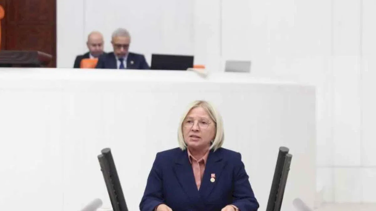 Nurten Yontar: "Ne kadını koruyabiliyorlar ne de aileyi"