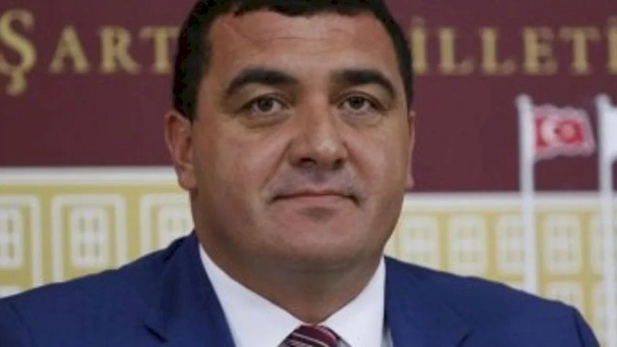 Sivas'ta orman köylüsü 'odun mağduru'