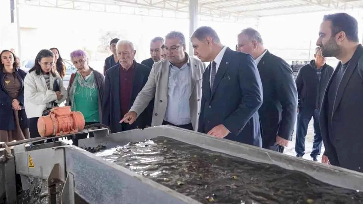 İzmir'de sezonun ilk zeytinyağı Başkan Tugay’dan