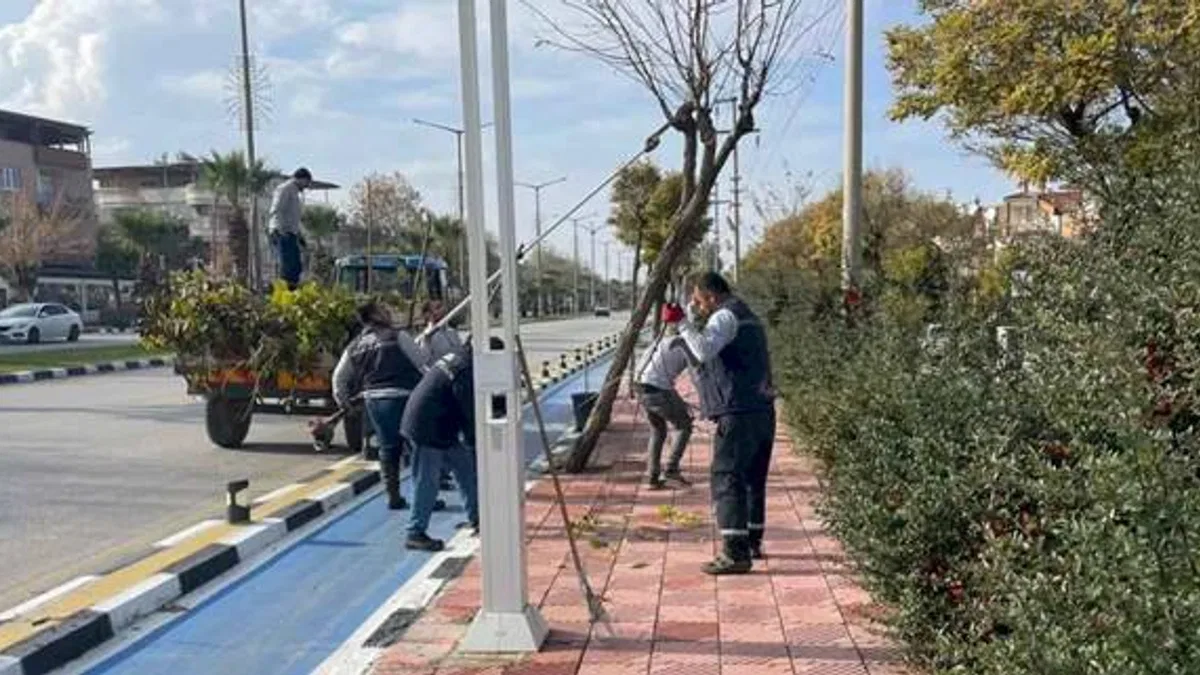 Manisa'da budama çalışmaları sürüyor