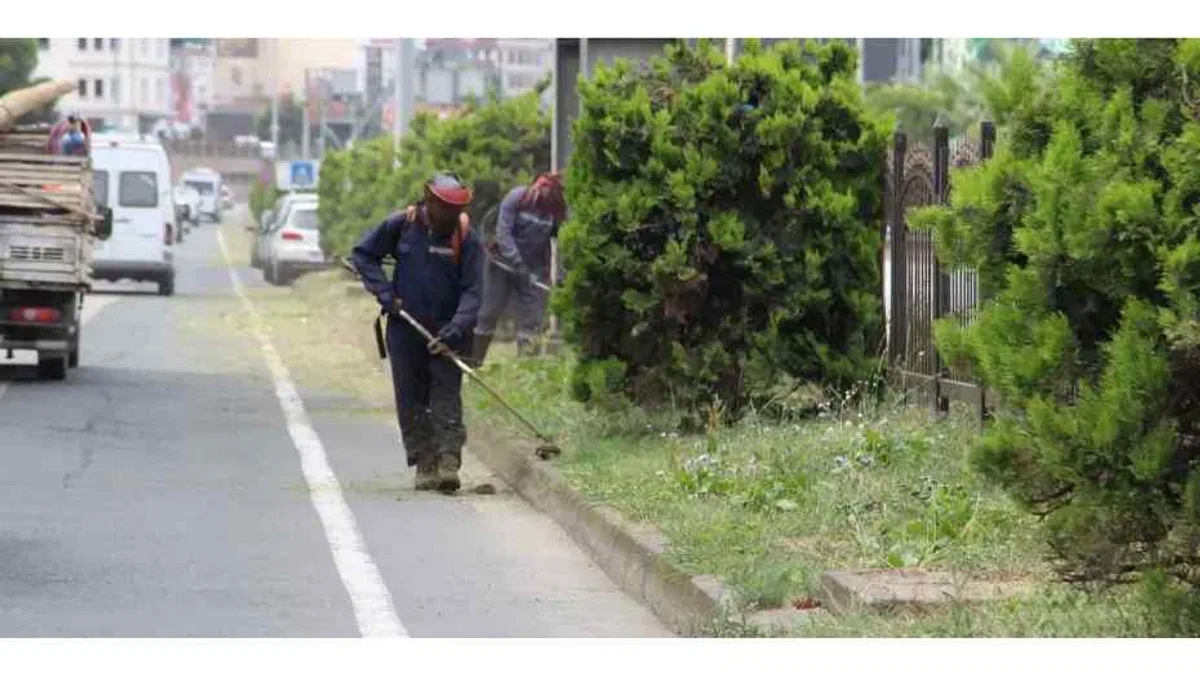 Giresun'da temizlik ve çevre düzenleme seferberliği