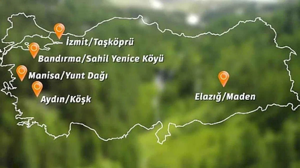Banvit BRF Ormanları 60 bin ağaca ulaştı
