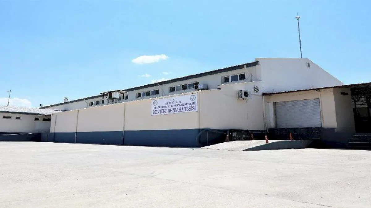 Muğla'da modern mezbahalar hizmet veriyor