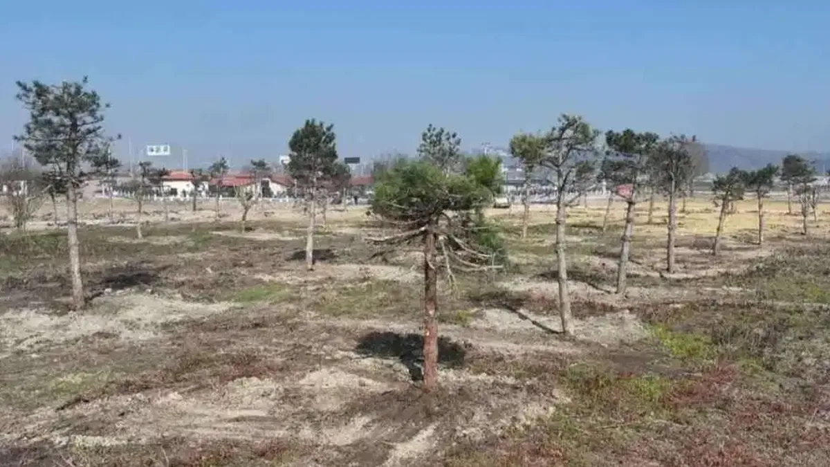 Sakarya’da yeşil cenneti Büyükşehir eliyle yaşatılıyor