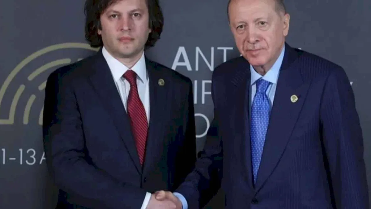 Cumhurbaşkanı Erdoğan, Gürcistan Başbakanı Kobakhidze ile görüştü