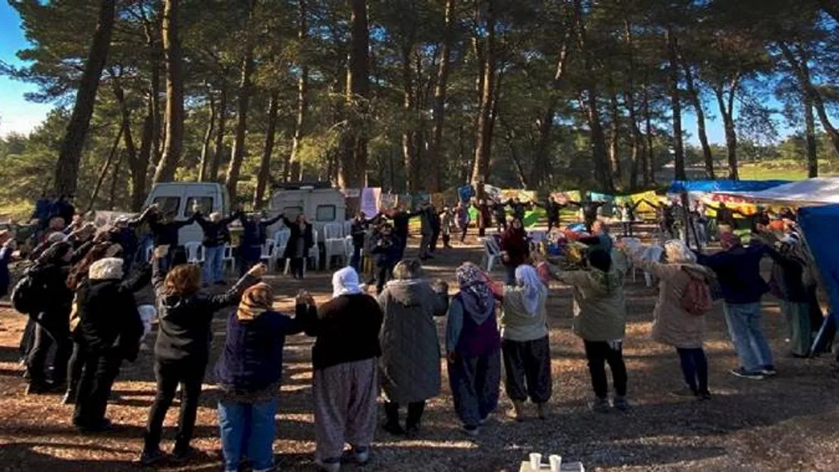Muğla'da Akbelen Ormanı için ortak 'sivil' çağrı