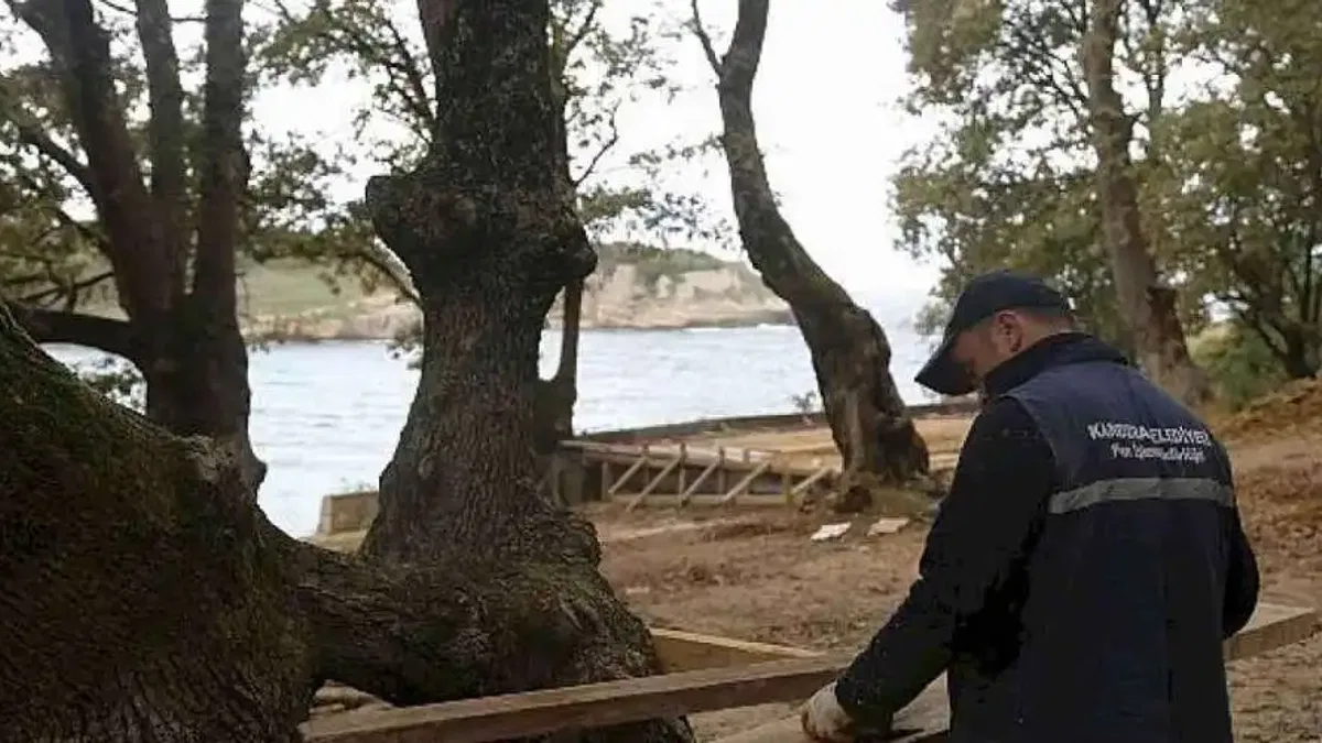 Kandıra Belediyesi Seyrekte Karavan Parkı ve Çadır Alanı Çalışmaları başladı
