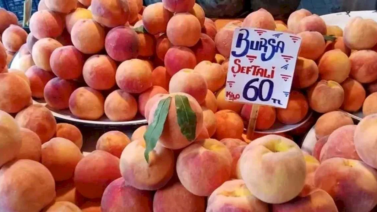 Bursa’da şeftaliler tezgaha indi