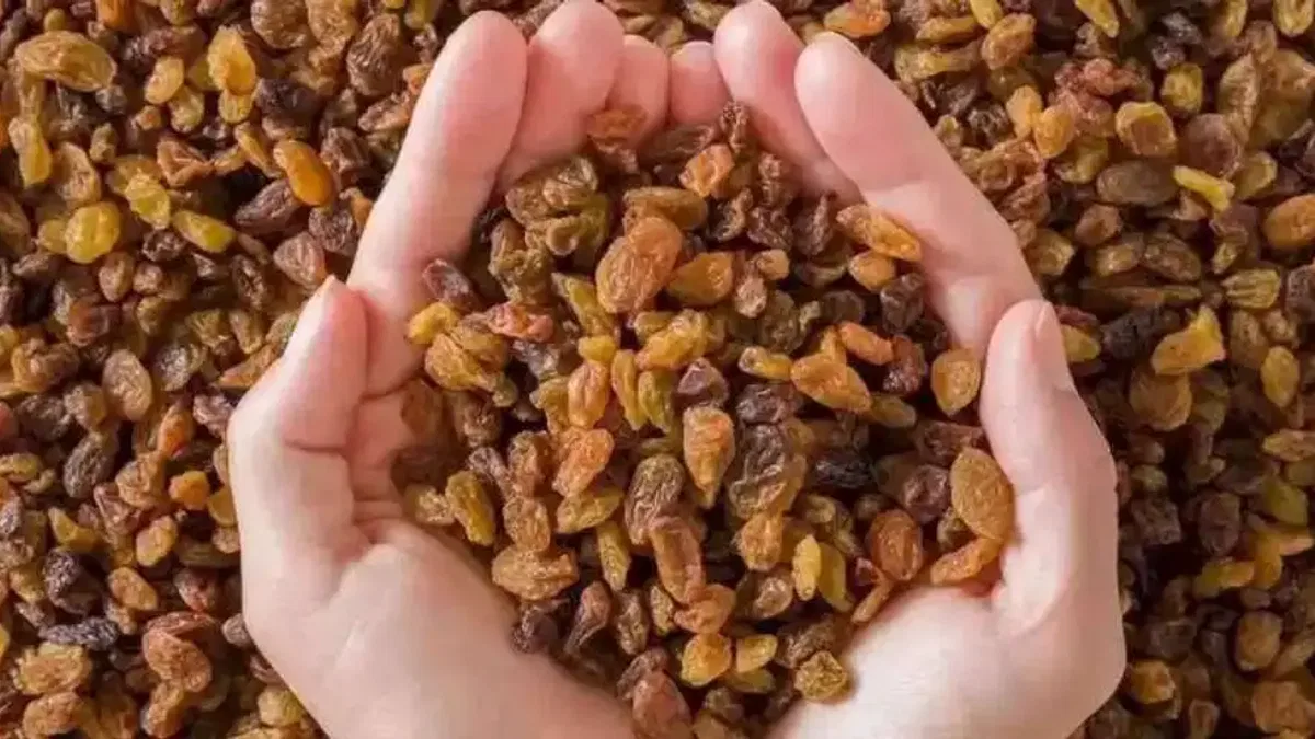 Veri hazırlayıp sunmak yapay zeka sayesinde artık çok kolay