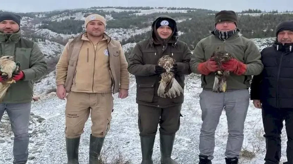 Eskişehir'de tedavi edilen yırtıcı kuşlar doğaya salındı