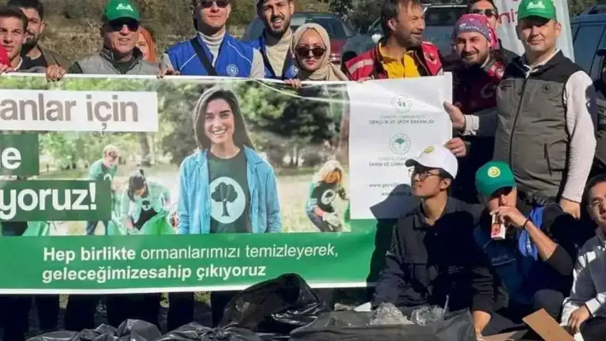 Bursa, Bilecik ve Yalova'da orman temizliği