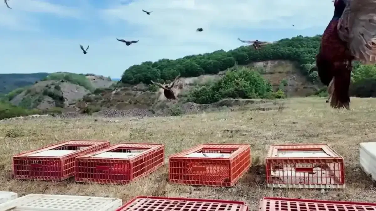 Doğal mücadelede yeni hamle