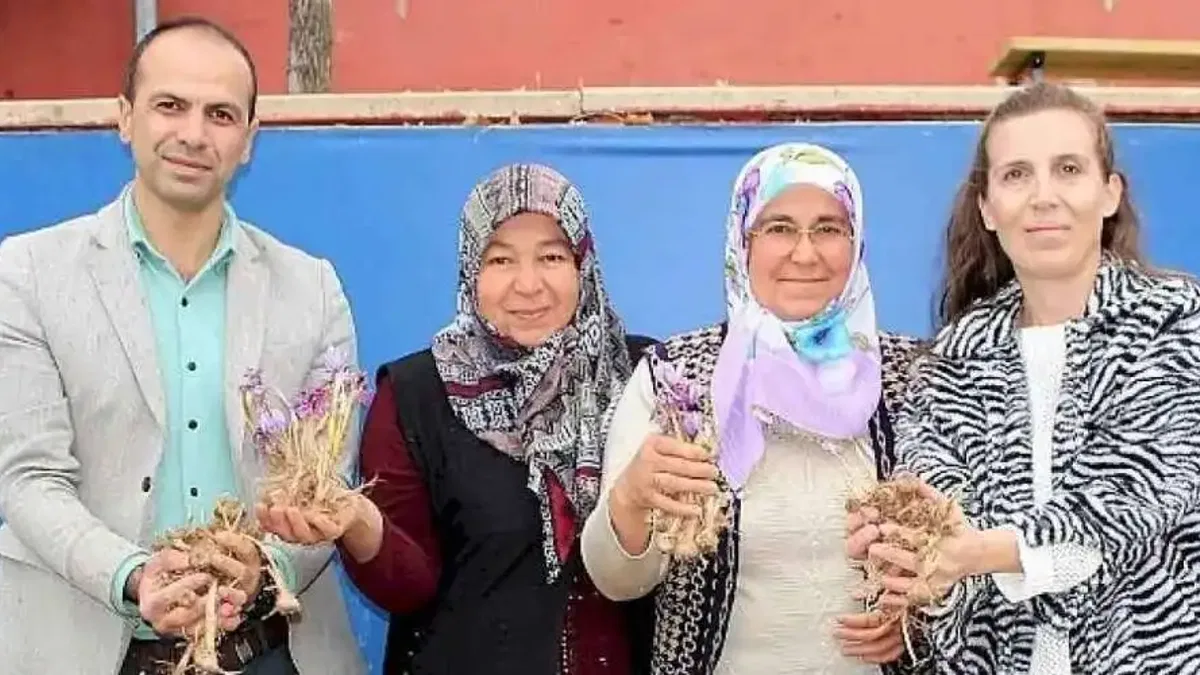 Elmalı'da safran soğanı dağıtımı yapıldı