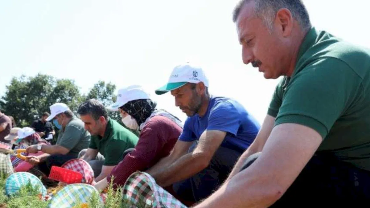Kocaeli Büyükşehir'den tarıma 236 milyon TL destek