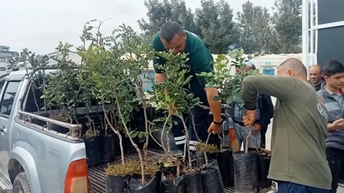 Alanya’nın coğrafi işaretli keçiboynuzuna destek