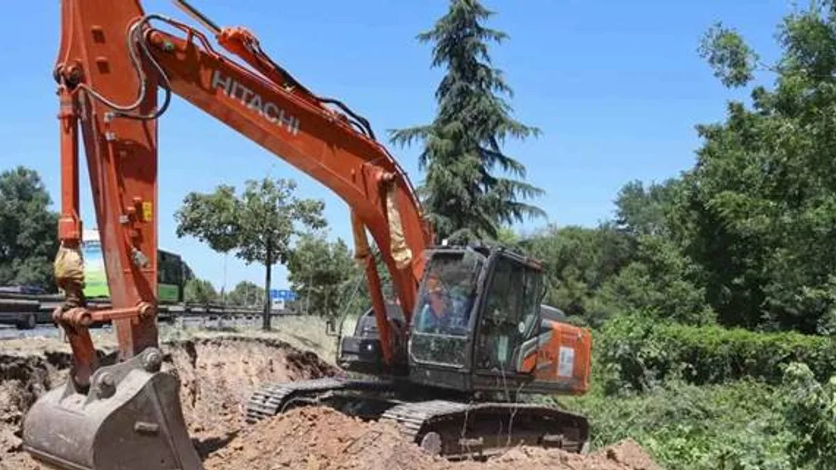 Kocaeli'de sökülen ağaçlar geleceğe taşınıyor