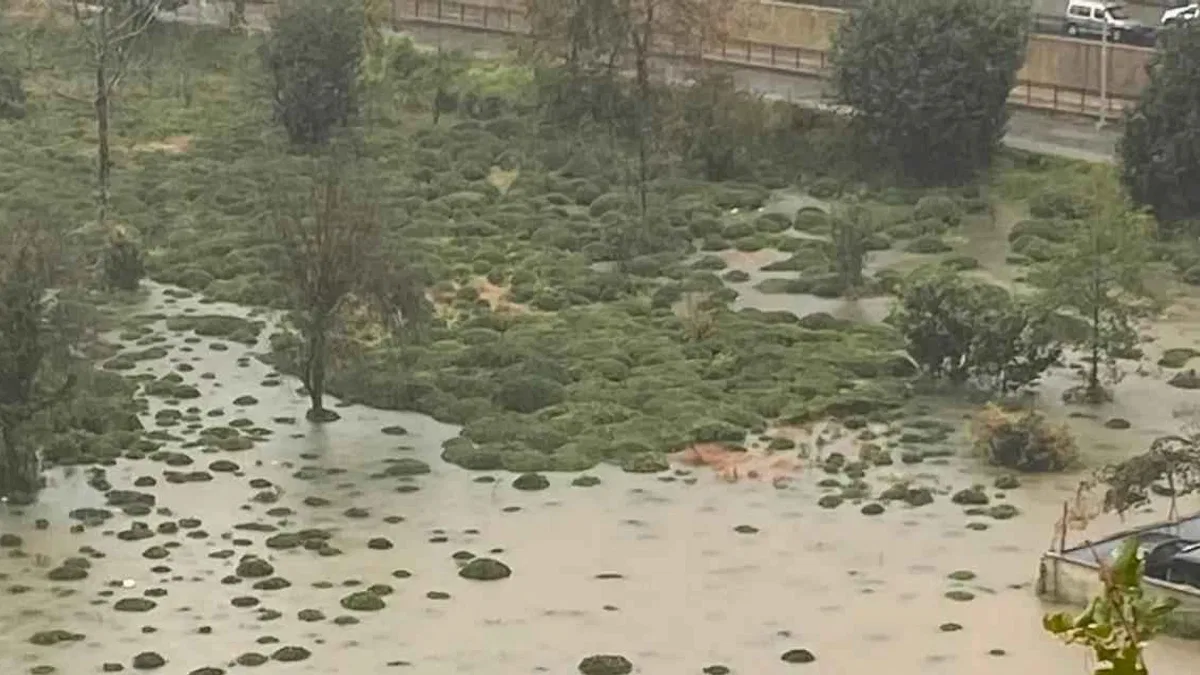 Rize Çayeli'nde heyelan! CHP: Bu tür afetler kader değil, basiretsizliktir!